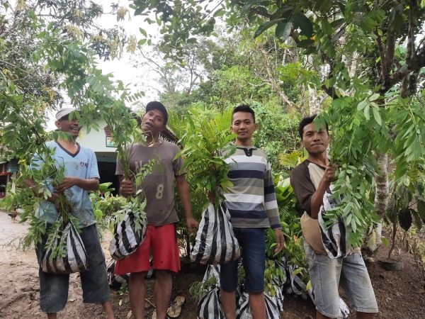 Reforestation projects UK