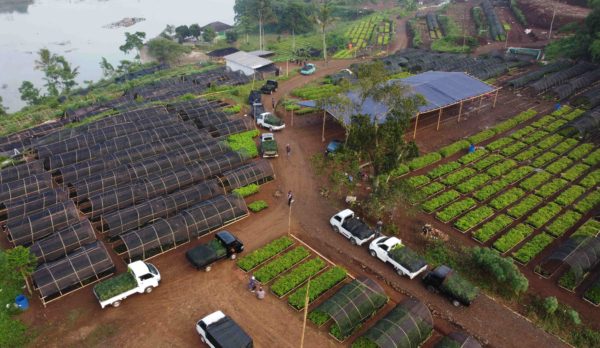 Our Ciminyak nursery for Citarum River
