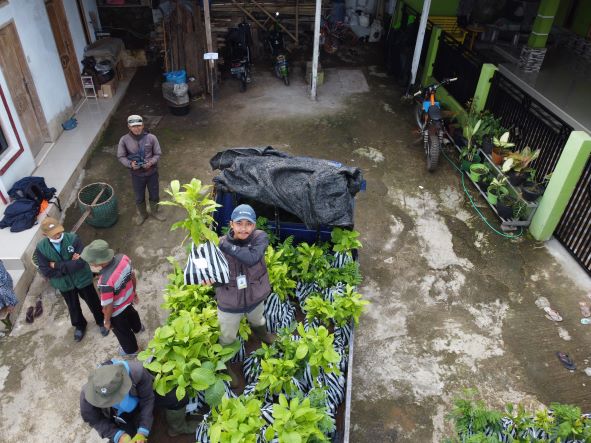 Putting Down Roots: Trees4Trees Planting Season 2022