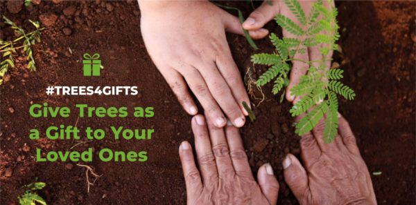 Give Trees