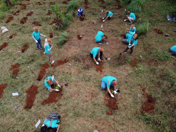 6,250 Trees Planted in a Collaboration with NEC Indonesia