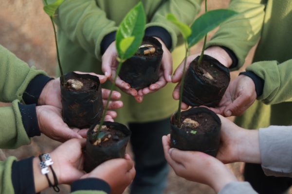 10 sustainable new year resolutions
