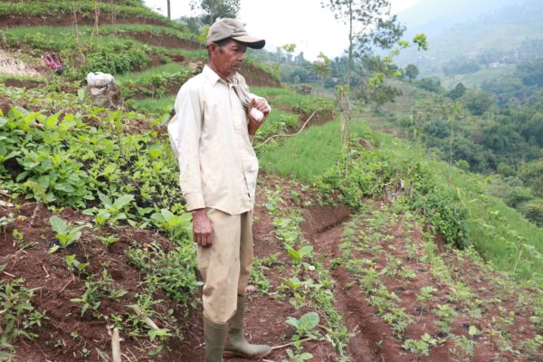 Planting Trees to Restore the Former Forest in the Village