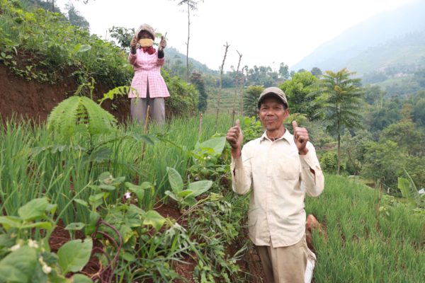 Planting trees: Iju, one of Trees4Trees best farmers from Neglasari village