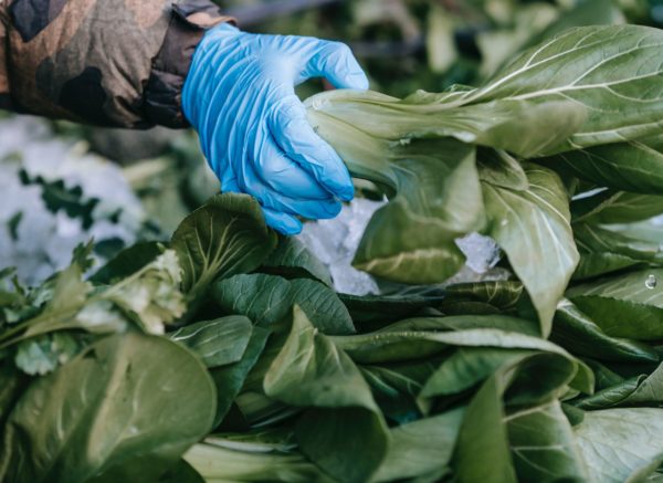 10 Eco-Friendly Activity Ideas to Enjoy with Loved Ones