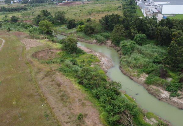 Regreening Jakarta’s Concrete Jungle