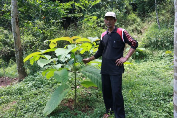 why Planting Trees is a Better Legacy