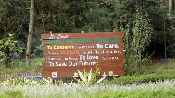 Travels in Java: Situ Cisanti 